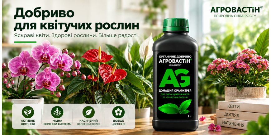 Добриво для квітучих рослин: чим і коли підживлювати